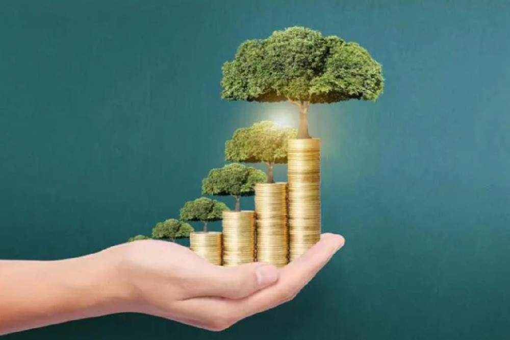 成都民间空放私人借款全天候专业服务